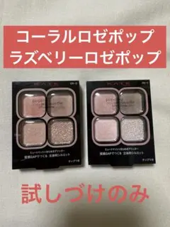 試しづけのみ！ケイト ポッピングシルエットシャドウ PK-1 OR-2