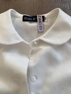 Item thumbnail for item f7003be0-4bf4-429d-9eed-5585c5ba54b6