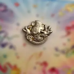 忍【新品】ディズニー35周年ピンバッチコレクション【限定品】 忍様専用【新品】ディズニー35周年ピンバッチコレクション【限定品】