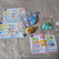 [2400]フチピト フシギダネ&ヒトカゲ&ゼニガメ ★箱無し・ミニブック確認