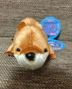 Item thumbnail for item 23d47231-da9f-4c23-bb94-d01eb81c8fc5