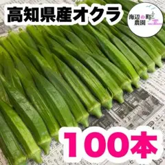 夏野菜【高知県産オクラ】A品＆B品 100本 おくら 野菜 産地直送！Mhhのサムネイル