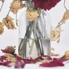 2025年最新】唾奇 レコードの人気アイテム - メルカリ