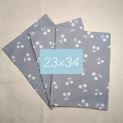 Item thumbnail for item 4c3e178f-b140-47a3-86e1-21e995b7db58