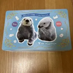 ラッコのキラちゃん　トレカ2枚セット（レア、ノーマル） 2025年最新】鳥羽水族館 メイキラの人気アイテム - メルカリ