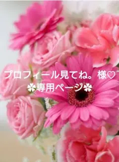 プロフィール見てね。近日断捨離出品様 リクエスト 2点 まとめ商品♡