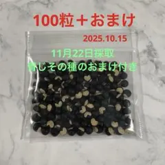 2025年最新】フウセンカズラの種の人気アイテム - メルカリ