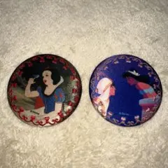 ディズニー アラジン ジャスミン 白雪姫　刺繍入りポケットミラー