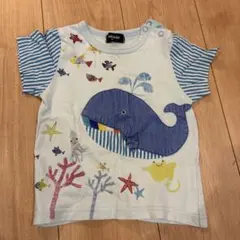 グレードスコープ クジラプリント Tシャツ 90