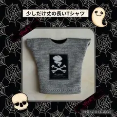 Item thumbnail for item 4a6c4034-8f5d-44f1-9001-e4aec0d8534f