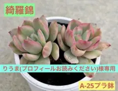 りうま(プロフィールお読みください)様 リクエスト 4点 まとめ商品