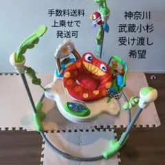【武蔵小杉受渡・発送も可】FisherPrice レインフォレスト ジャンパルーのサムネイル