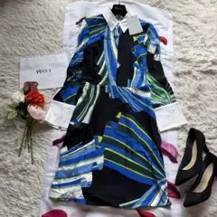 2026年最新】EMILIO PUCCI カラー：ブルー系 レディース 長袖・七分袖
