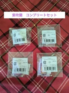 アイカツ！カスタムドレスアップチャーム　紫吹蘭　コンプリートセット