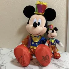 東京ディズニーランド 40周年 ミッキー ぬいぐるみ ぬいぐるみバッジ ぬいば