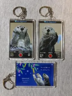 鳥羽水族館 メイちゃん キラちゃん アクリルパネルキーホルダー 3点