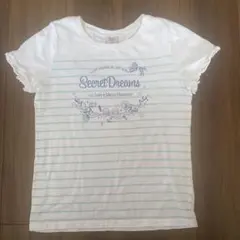 メゾピアノ　半袖Tシャツ　白　水色　ボーダー　160 ジュニアL