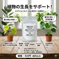 마그네슘 설페이트 10g, 엽면 스프레이 OK, 광합성 촉진, 잎 색상 개선, 속효성 미네랄 보충제