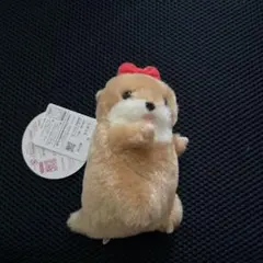 AMUSE カワウソの赤ちゃんハグハグ2 ぬいぐるみマスコット