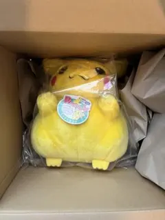 ポケモン30周年記念おかえり!ピカチュウ1/1