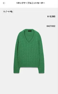 ZARA Vネックニット S