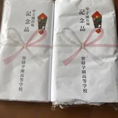 智辯学園 智弁和歌山応援タオル - メルカリ