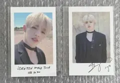SEVENTEEN エスクプス　ode to you ポラロイド トレカ 2枚