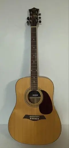 Elioth revolution アコースティックギター アコースティックギター Elioth revolution