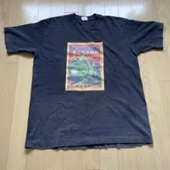 wild pitch ワイルドピッチ ヴィンテージtシャツ ラップtシャツ - メルカリ