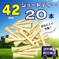 Item thumbnail for item a80f42c7-f885-424c-8682-f77d22d5c278