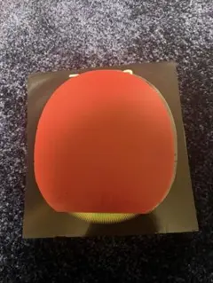 Item thumbnail for item 32139a30-1591-4e41-a413-a719a06d9439