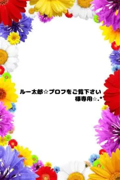 ルー太郎☆プロフをご覧下さい様専用✩.*˚