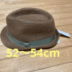 Item thumbnail for item 27ce6caa-440a-45d9-9017-7932c6ff9d33