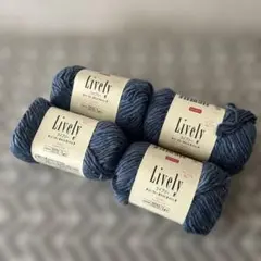 DAISO Lively ライブリー 毛糸 4玉セット ブルー