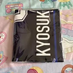 Item thumbnail for item 456a0a2d-5f18-4375-8688-9894d43c0553