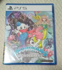 【PS5】　SNOW BROS. WONDERLAND