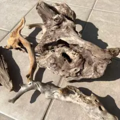 Item thumbnail for item 6a264057-900b-43c2-935d-a6e971ae861e