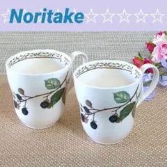 Noritake　ロイヤルオーチャード　マグカップ　2客　美品✨️