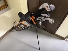 Item thumbnail for item 120707f4-da33-4d19-9c3a-1af809d666bd