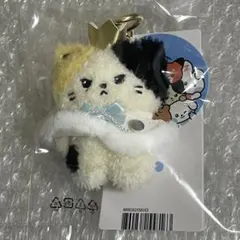 ZB1 PRINCE PLUSH KEYRING 新品未開封 リニニ