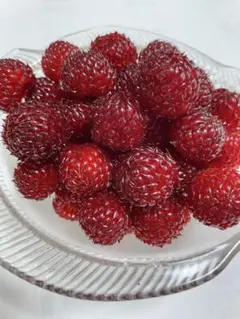 あれっぽのねずみ様 リクエスト 2点 まとめ商品