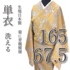 2025年最新】単衣着物 トールサイズの人気アイテム - メルカリ