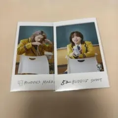 BUDDiiS SHOOT MORRIE ミニフォト 隣の席 2枚セット