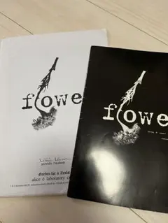 alice auaa】アリスアウアア カタログ ポスター 作品集 希少品 - メルカリ