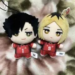 ハイキュー!! サンリオキャラクターズ ちみっともぬい 黒尾鉄朗 孤爪研磨　②