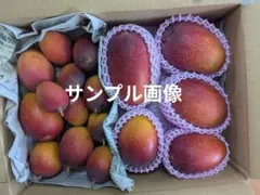 加工用マンゴー 3kg - メルカリ