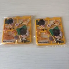 【即購入⭕️】WINDBREAKER 桜遥 ぷらっとこれくしょん 2個セット