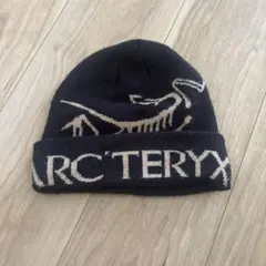 ARC'TERYX グレー ニット帽 ビーニー - メルカリ