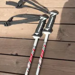 スキーストック