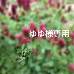 【ゆゆ様専用】ブックカバー　袴　２点　文庫本サイズ